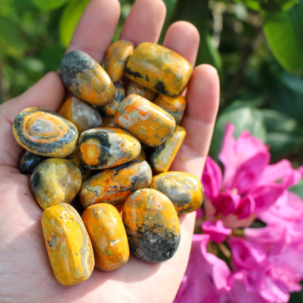 bumblebee jasper properties