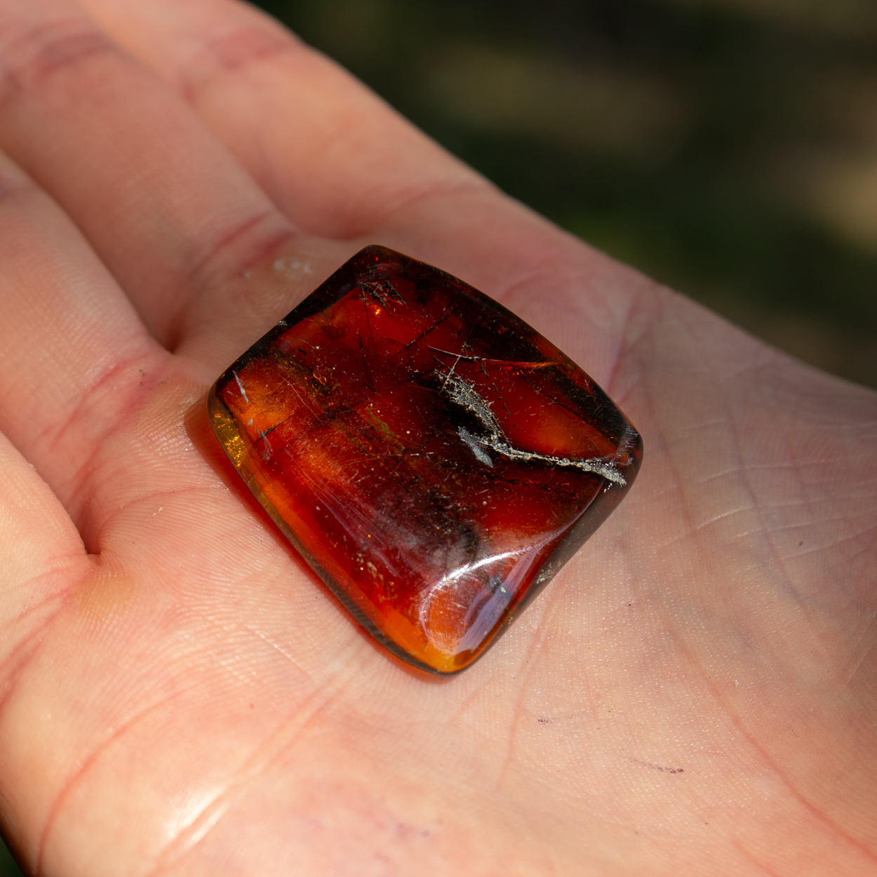 Raw Amber 13 The Crystal Council