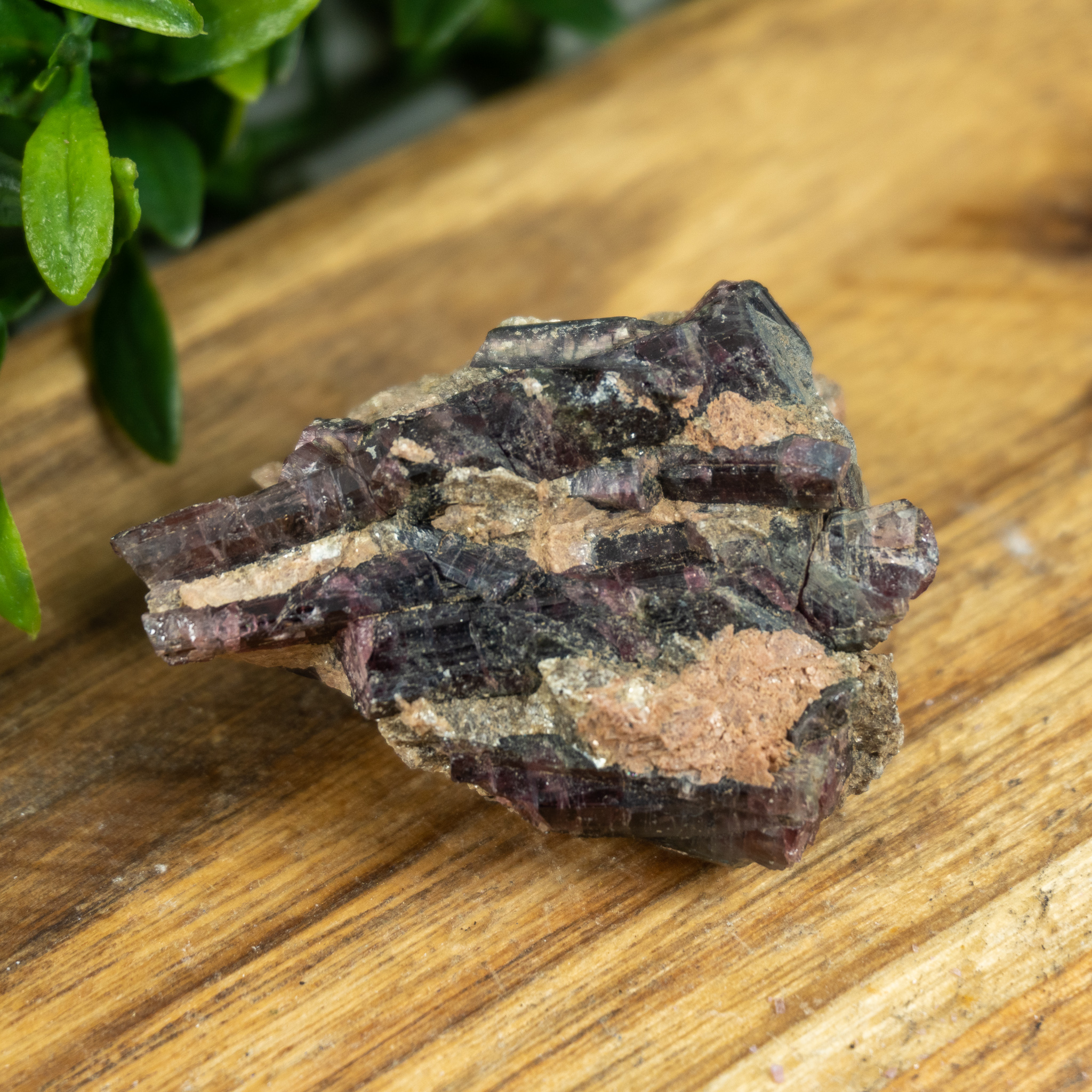 Medium Watermelon Tourmaline 2 The Crystal Council